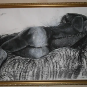 Nude-3 Laying, A Nude reclining with her back to the viewer, framed in gold, showcasing the curves against a white background.