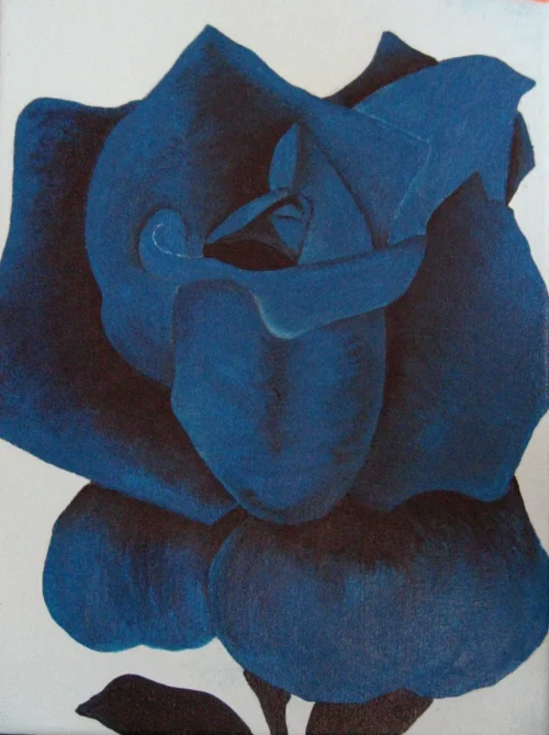 Rose-2 A single blue rose painted in acrylics on a white background, with soft brushstrokes capturing the delicate details of the petals. The rose is the focal point, its unusual blue hue symbolizing mystery and the unattainable.