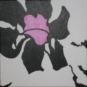 Tu-Lips-1 featuring a large black tulip with its petals spread wide open. At the centre of the flower is a bright cerise pink area resembling a pair of lips. The tulip is set against a stark white background, creating a sharp contrast with the dark petals and vibrant centre. The image combines natural floral elements with sensual symbolism, evoking feelings of desire and beauty. The overall composition is bold, with defined lines and vivid colours.