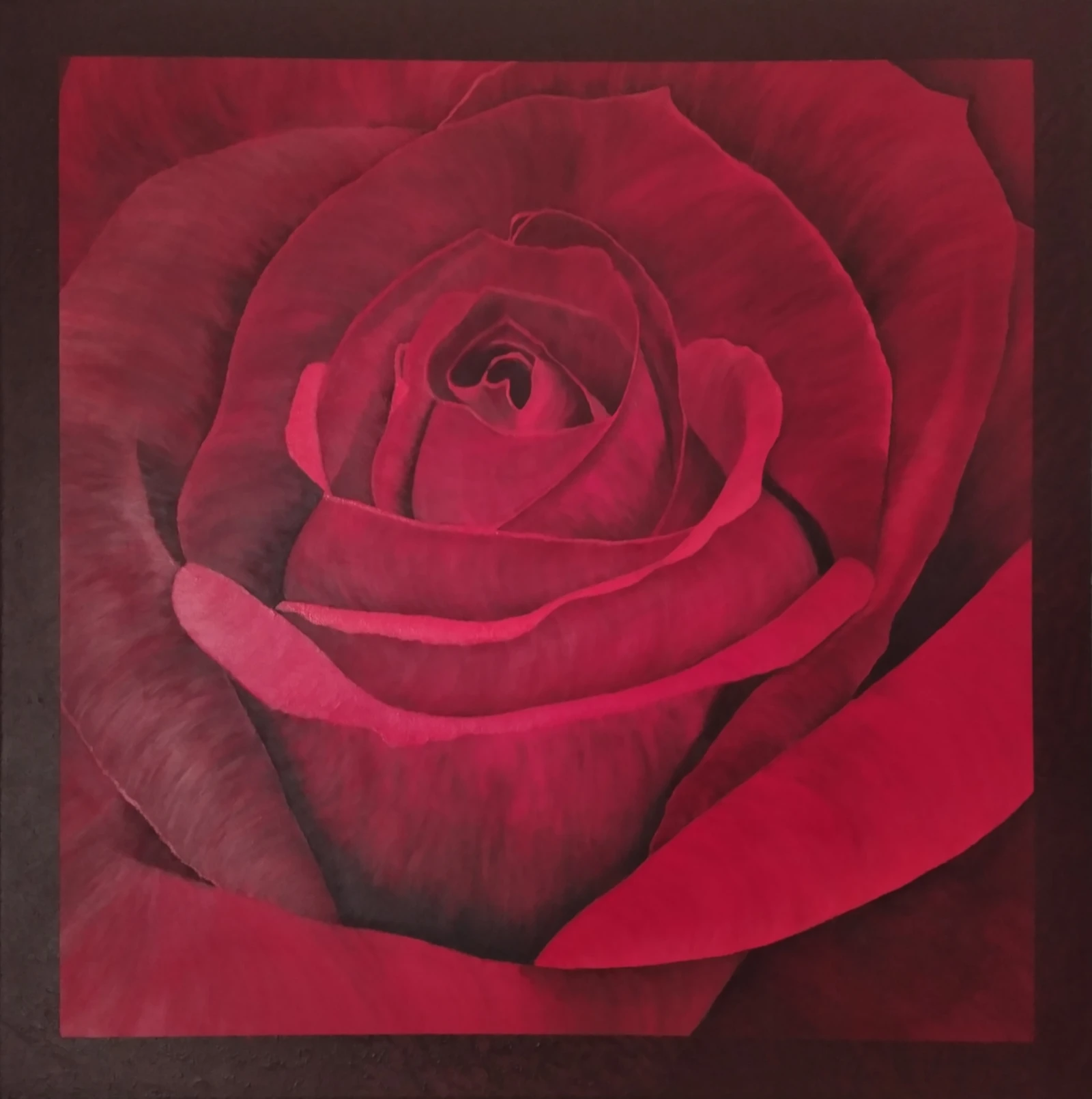 Red Rose-5 petals are velvety, soft, warm, & delicate, with a tender weight, exuding quiet strength.